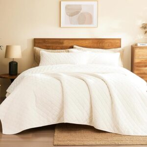 L'AGRATY Queen Velvet Comforter Set - 3-Piece Reversible Bedding